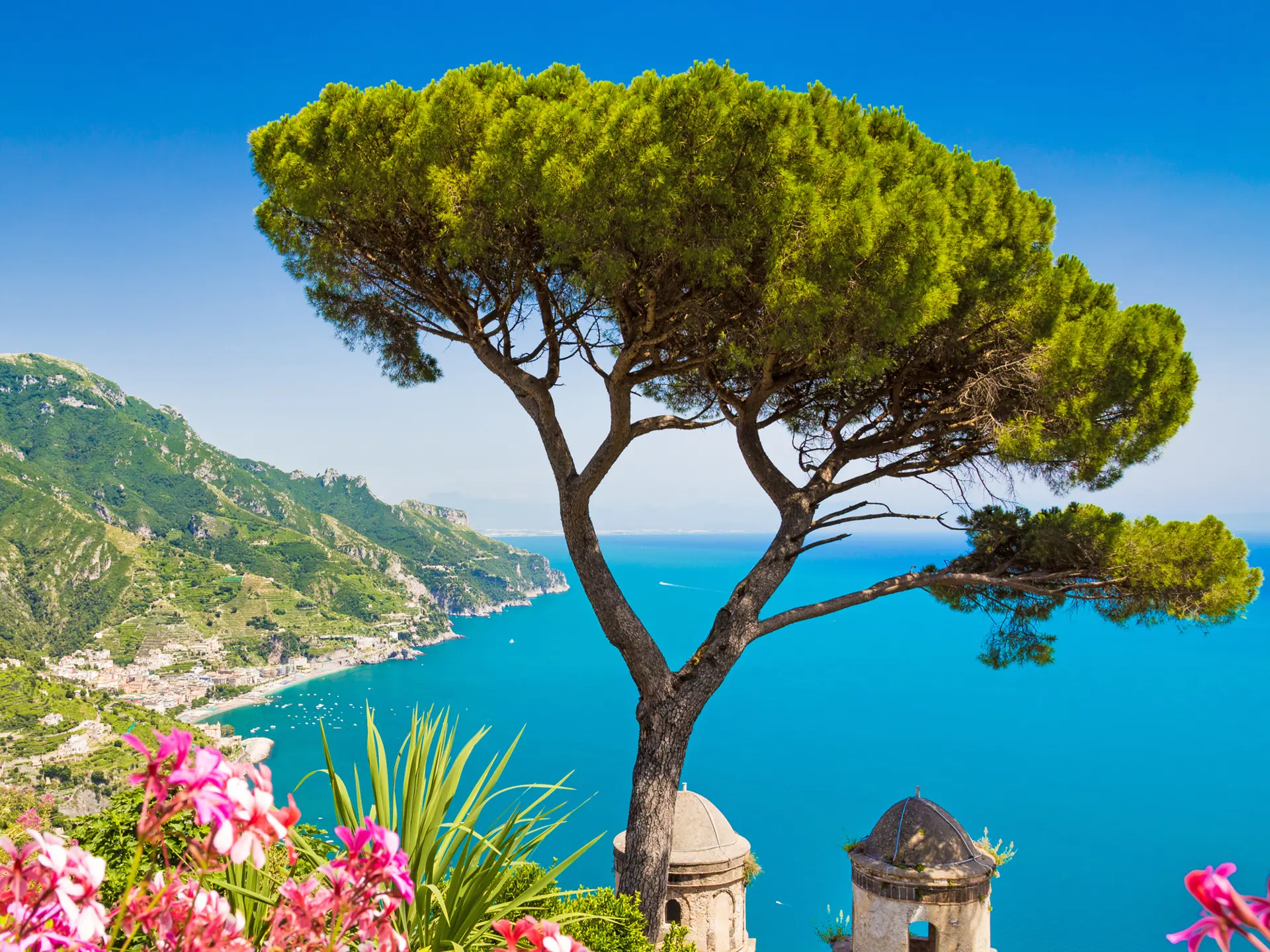 Ravello Tree